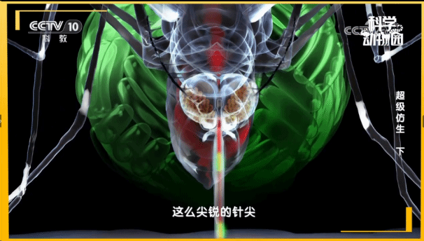 太阳城app(简体中文)版本