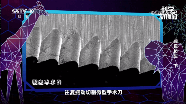 太阳城app(简体中文)版本