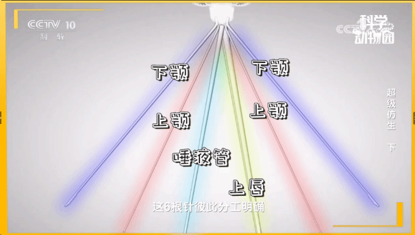 太阳城app(简体中文)版本